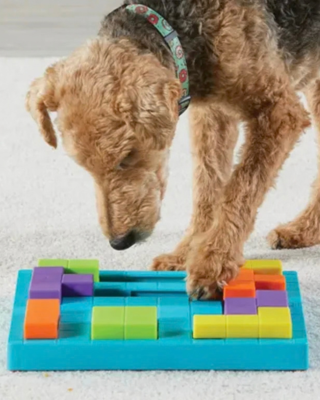 Brightkins – Brain Teaser Treat Puzzle – hlavolam pro psy 1